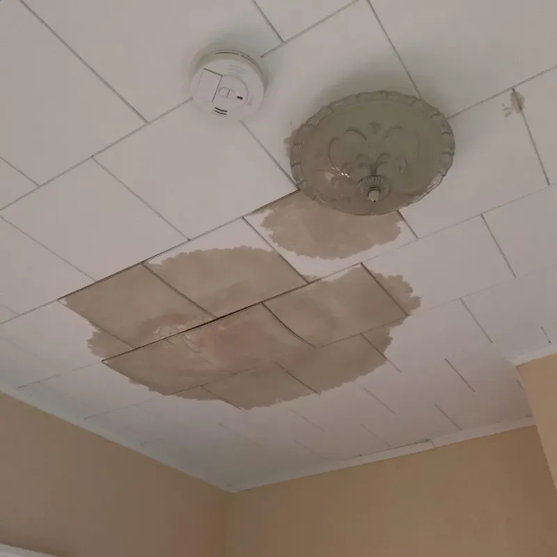 Ceiling Water Damage Repair in Pickaway County, OH