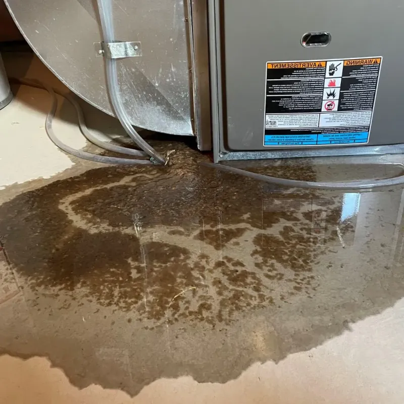 Pipe Burst and Leak Restoration in Pickaway County, OH