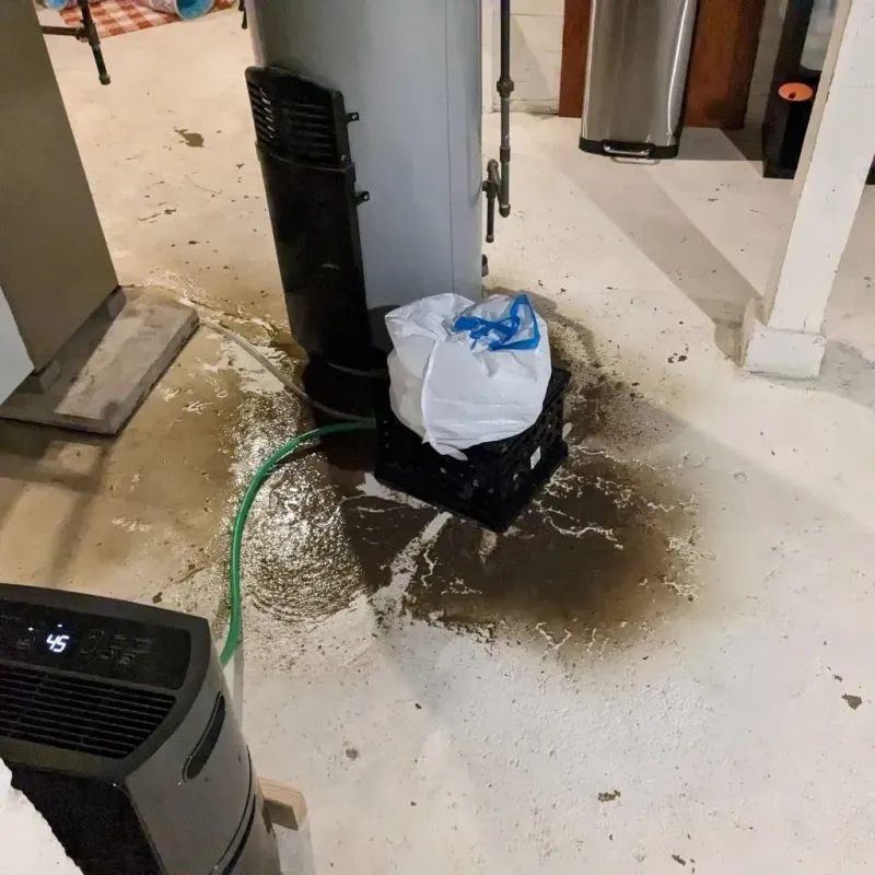 Sewage Backup Cleanup Service in Pickaway County, OH